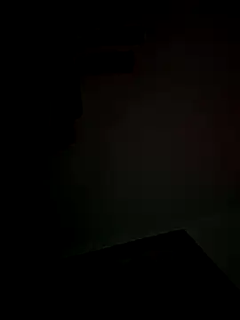 Snapshot of Foxdaguy chatting on 11/01/25, 08:30 Foxdaguy online show from 11/01/25, 08:30