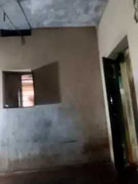 Snapshot of PolarFriend0 chatting on 02/17/26, 12:57 PolarFriend0 online show from 02/17/26, 12:57