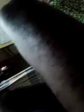 Snapshot of PolarFriend0 chatting on 02/14/26, 04:40 PolarFriend0 online show from 02/14/26, 04:40