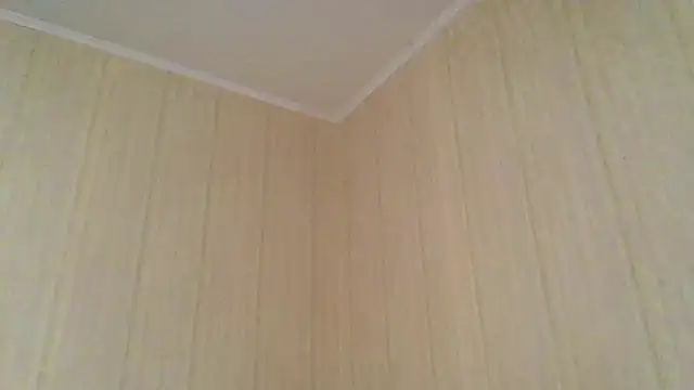  Black-Panther  online show from 11/13/25, 08:18