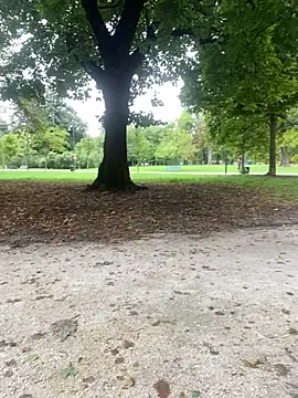 Rimmingtop online show from 09/26/25, 08:10