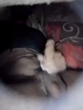 Ayush pussy fucker online show from 03/05/26, 05:20