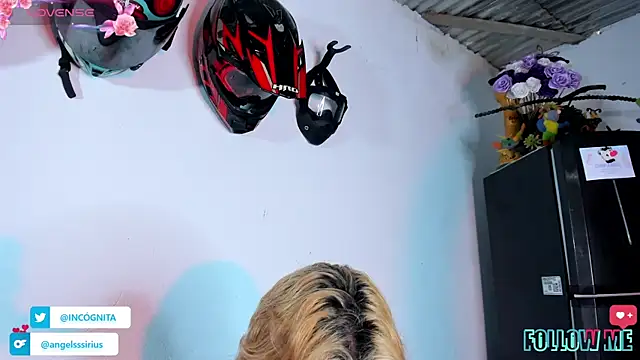 adam angelssss online show from 11/19/25, 08:53