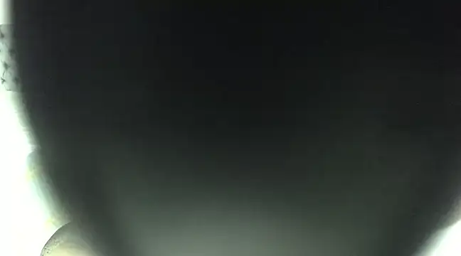 elizabeth swan18 online show from 03/17/25, 12:46