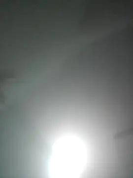 royall queen online show from 01/06/26, 02:43