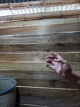 Trilyn25 online show from 11/14/25, 10:13