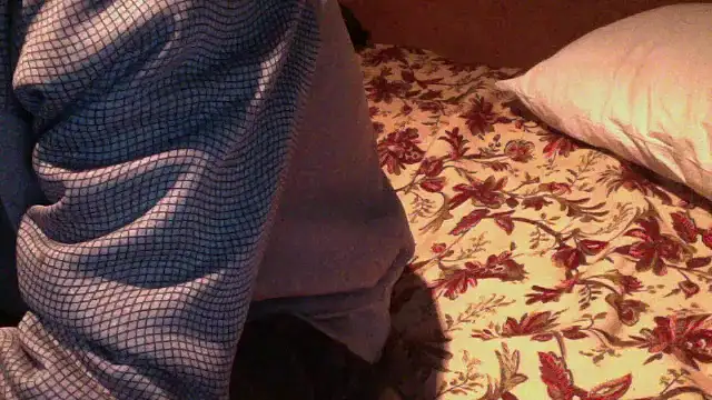 JoaoPinto0 online show from 10/30/25, 11:01