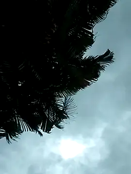 emiliemilf online show from 10/09/25, 09:37