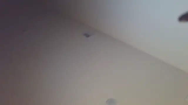 Snapshot of shurthingx chatting on 04/14/26, 04:17 shurthingx online show from 04/14/26, 04:17