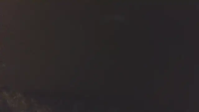 shurthingx online show from 05/25/26, 10:58