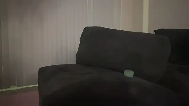 Snapshot of shurthingx chatting on 03/20/26, 06:36 shurthingx online show from 03/20/26, 06:36