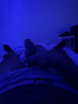 MoroccanDickkkkkk online show from 10/08/25, 12:50