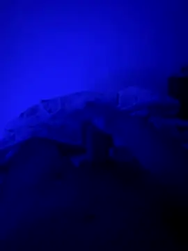 MoroccanDickkkkkk online show from 11/26/25, 10:37