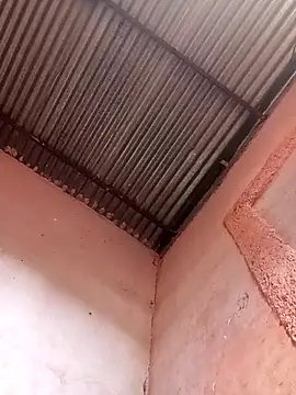 Snapshot of 317894 chatting on 11/21/25, 01:54 317894 online show from 11/21/25, 01:54