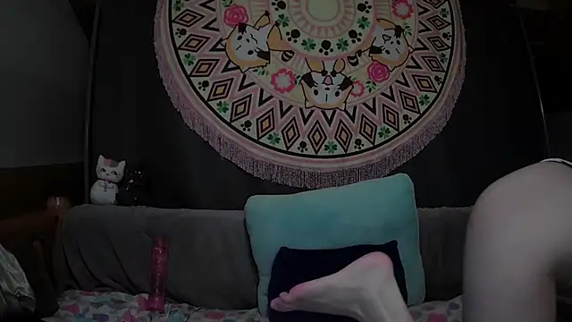 sopia2 online show from 02/24/26, 03:07