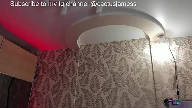 Cactus  James online show from 02/12/26, 06:18