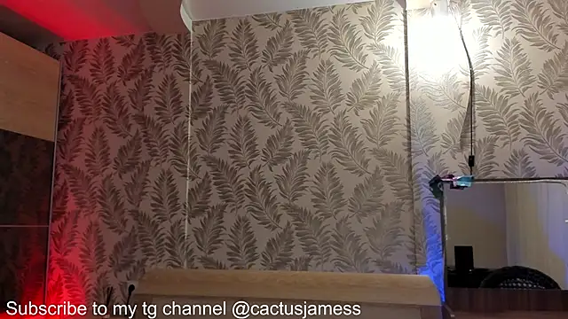 Snapshot of Cactus__James chatting on 10/03/25, 09:16 Cactus James online show from 10/03/25, 09:16