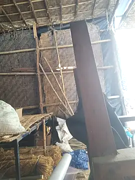 hot integer online show from 02/21/26, 02:57