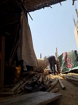 hot integer online show from 03/14/26, 06:08