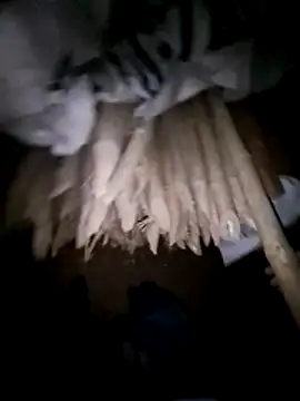 hot integer online show from 03/07/26, 01:49