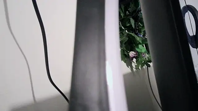 cherryboom23 online show from 03/19/26, 07:25