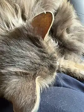 Max 965 online show from 03/30/26, 10:28