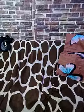 Casadaculona30 online show from 03/03/26, 02:40