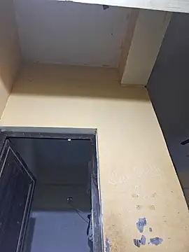 nipu 9 online show from 02/24/26, 03:35