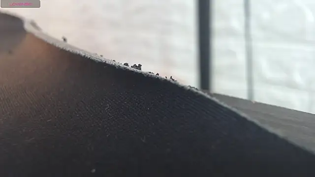 nei girl online show from 11/30/25, 11:55