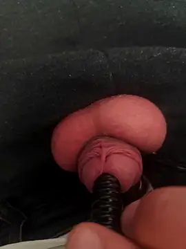 evi42 online show from 04/13/26, 08:18