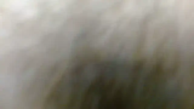 Allyson Mature online show from 01/05/26, 05:27