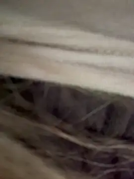 bambi lu online show from 03/18/26, 06:20