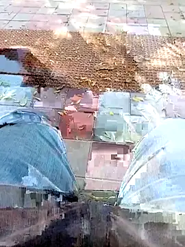 A-1PLAYBOY0 online show from 03/06/26, 09:37