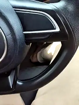 UAjit online show from 04/14/26, 07:46