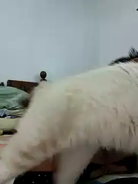 Saraslow online show from 10/28/25, 02:05