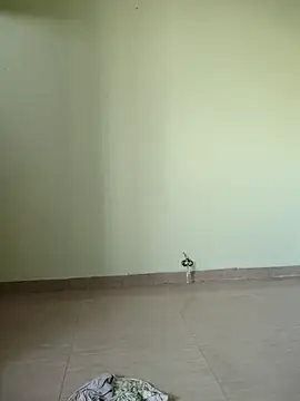 Desi Bhabi 01 online show from 11/17/25, 09:35