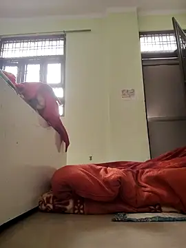 Desi Bhabi 01 online show from 02/04/26, 03:34