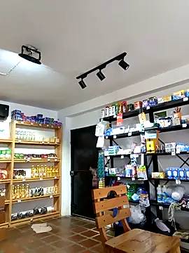 elnegro707070 online show from 11/23/25, 02:38