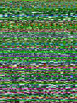 w3tkittty online show from 07/10/26, 05:18