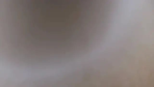 Naturfreund1965 online show from 02/09/26, 03:32