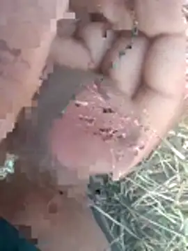 Snapshot of perplexedsoul chatting on 12/01/25, 09:21 perplexedsoul online show from 12/01/25, 09:21