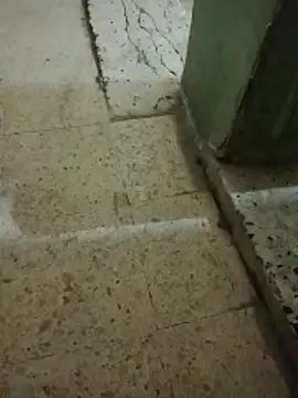 Hema0Hema online show from 02/21/26, 10:34