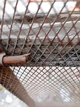 Hema0Hema online show from 02/22/26, 06:09