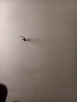 Thenaughtyboy360 online show from 10/07/25, 01:34