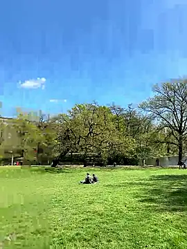 NoLimit365 online show from 04/23/26, 11:38