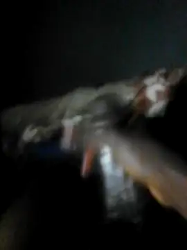 mydickbedarkandthick online show from 11/23/25, 11:15