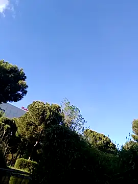 hotCOUPLEPETRA online show from 04/14/26, 05:18