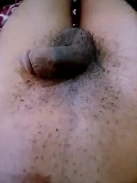 horny1131 online show from 04/11/26, 05:48