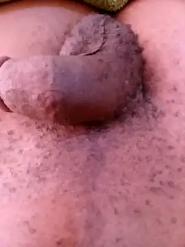 horny1131 online show from 04/11/26, 07:45