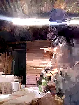 paptsimo online show from 11/05/25, 02:14